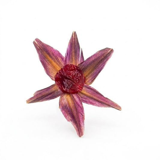Broche ASTRAÉA Feuille d'Artichaut et son oignon rouge Stabilisés