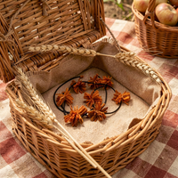 Trois en un AWENA Pompons de Carottes orange Stabilisés — 2