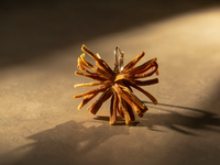 Boucle d'oreille ODAKOTAH Pompon Carotte orange Stabilisé — 2