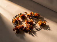 Trois en un AWENA Pompons de Carottes orange Stabilisés — 3