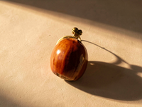 Broche NOÏRA Noisette Stabilisé — 3