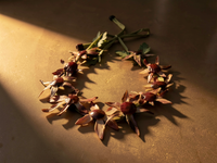 Couronne KANZA Fleur recto-verso Feuille d'artichaut et son oignon rouge Stabilisé sur raphia — 3