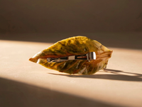 Barrette SECRET DES DRYADES Feuille de Chou frisé Stabilisé — 3