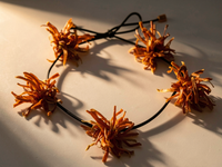 Couronne RAFIKI Pompon de Carotte orange Stabilisé — 3