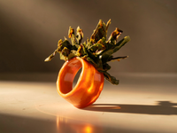 Bague YSORIA Carotte Orange et pompon de Chou vert Stabilisés — 3