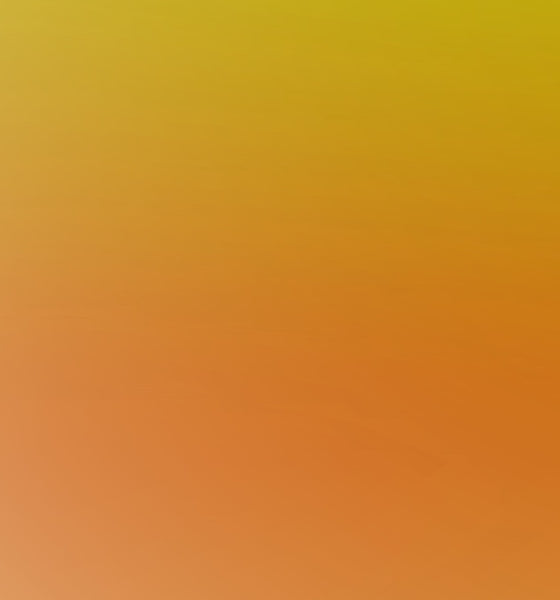 Fond de tableau porte bijoux