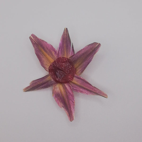 Broche ASTRAÉA feuille Artichaut et son oignon rouge stabilisés