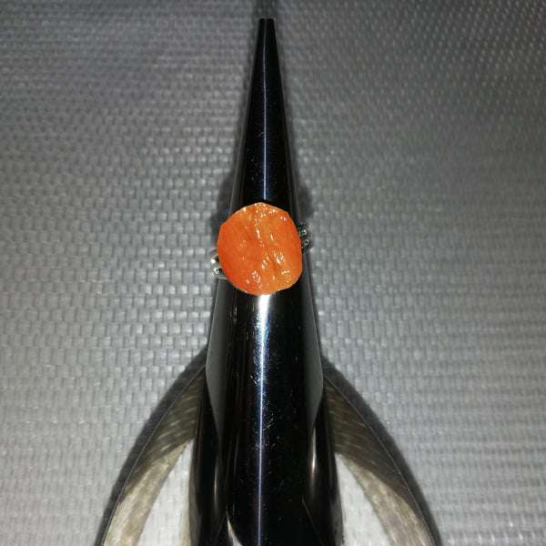 Bagues Pastilles divers végétaux Stabilisés