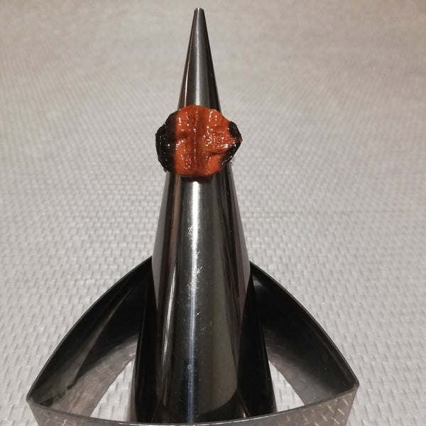 Bagues Pastilles divers végétaux Stabilisés