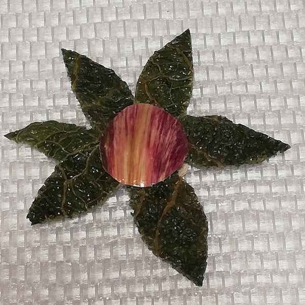 Les Stickers multiples légumes Stabilisés aimantés