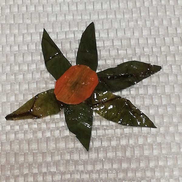 Les Stickers multiples légumes Stabilisés aimantés