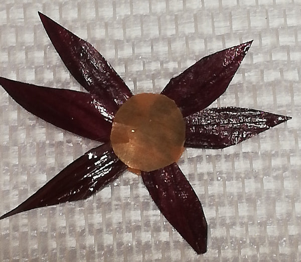 Les Stickers multiples légumes Stabilisés aimantés