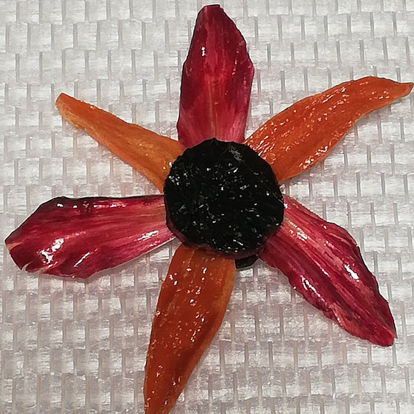 Les Stickers multiples légumes Stabilisés aimantés