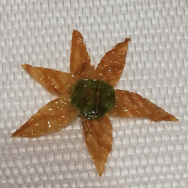 Les Stickers multiples légumes Stabilisés aimantés