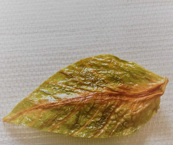 Barette SECRET DES DRYADES   feuille Chou frisé Stabilisé