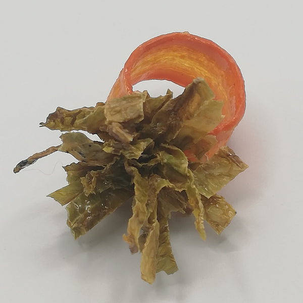 Bague ARVA Carotte Orange et pompon de Chou vert Stabilisés