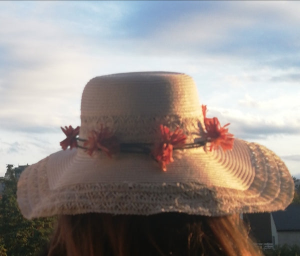 Trois en un en  pompons de carottes orange Stabilisés