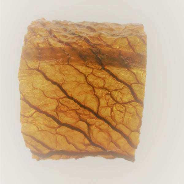 Bracelet KALE manchette Chou vert Frisé vieilli Stabilisé