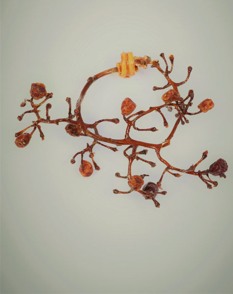 Bracelet ENVOLÉE de raisin vieilli et ses perles de carottes Stabilisés